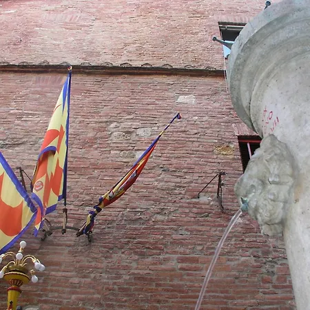 San Marco 16 - Comodo E Centrale, Per Scoprire * Сиена